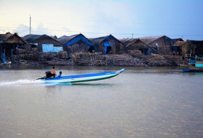 Nghề hầm than đước ở Cà Mau