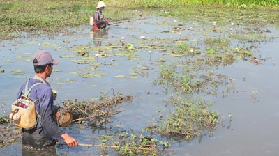 Đánh bắt thủy sản theo kiểu tận diệt