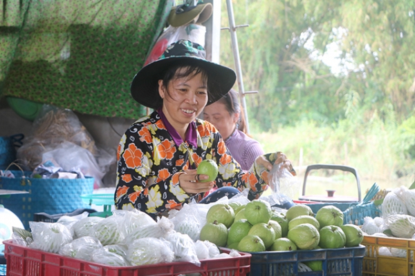 Nông dân Đồng Tháp thu “quả ngọt” nhờ làm nông chuyên nghiệp và tử tế