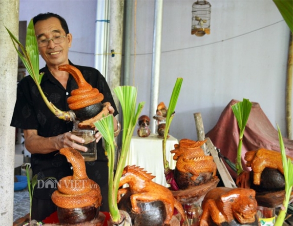 Lão nông Cà Mau mê dừa bonsai 12 con giáp khiến ai cũng trầm trồ