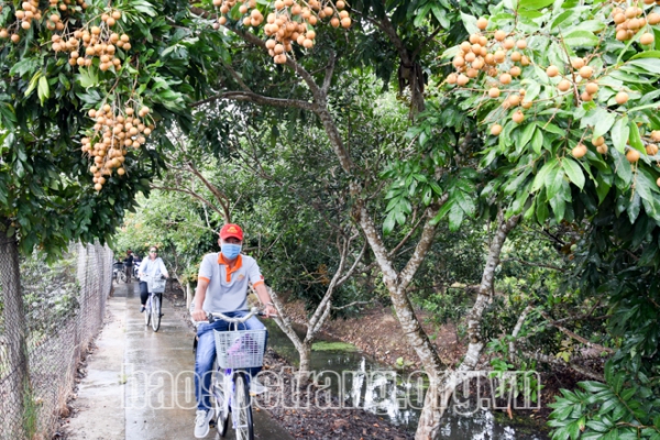 Sóc Trăng tạo sức hút từ du lịch sinh thái, cộng đồng