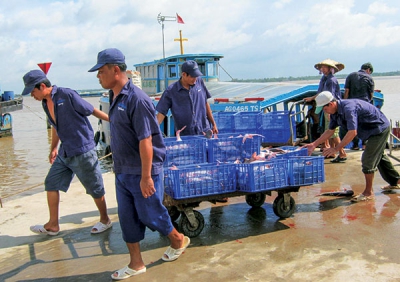 Phát triển hơn 289ha vùng nuôi thủy sản chất lượng