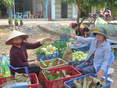 Nông dân trồng xoài gặp khó khăn do ảnh hưởng dịch bệnh Covid -19