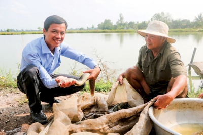 “Se duyên” cho cá heo và cá chạch lấu