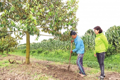 Chi hội trưởng năng động, chịu khó