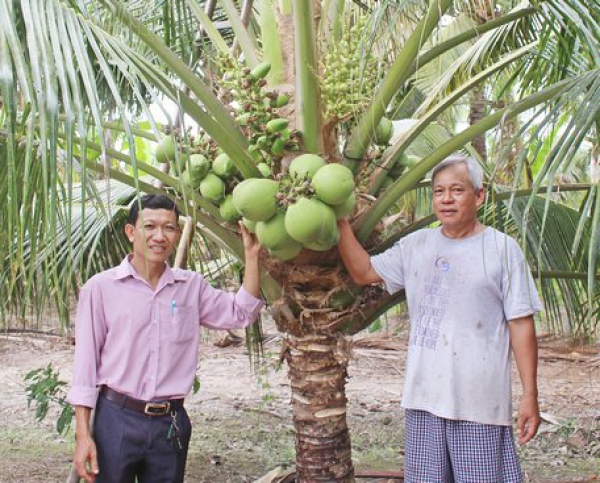 Chuyển dịch cơ cấu kinh tế nông nghiệp theo hướng hiệu quả và bền vững