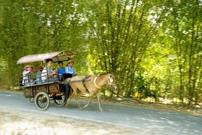 Êm đềm với cù lao Thới Sơn