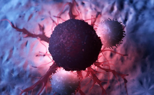 Các nhà khoa học Mỹ phát hiện con đường mới tiêu diệt ung thư