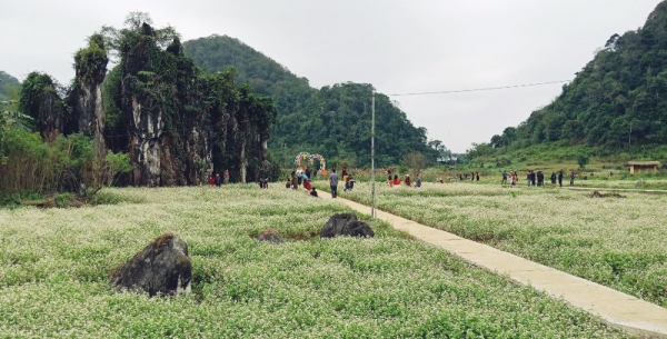 Du lịch Hà Giang xây dựng điểm đến “bản sắc, an toàn, thân thiện”