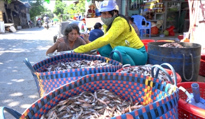 Mùa cá chốt