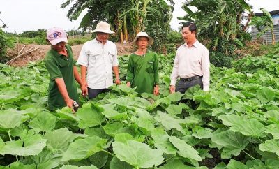 Chuyển đổi cơ cấu sản xuất