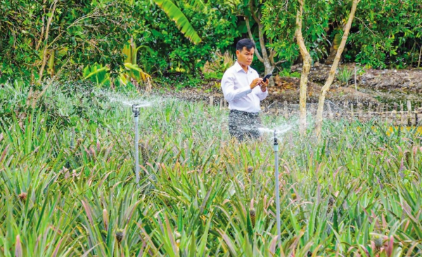 Nhà nông Hậu Giang &quot;thích ứng&quot; với nông nghiệp công nghệ số