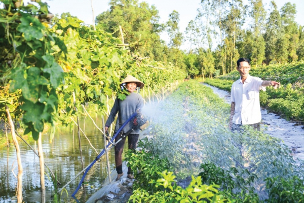 Khởi nghiệp thành công từ nghề nông