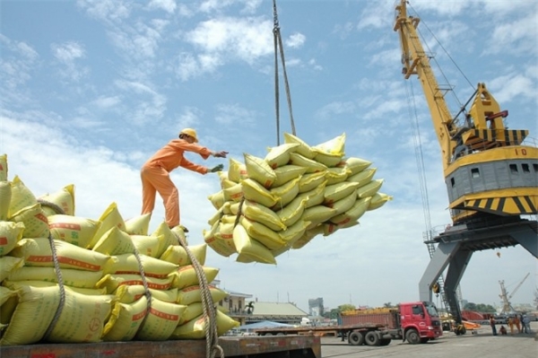 182 thương nhân đủ điều kiện kinh doanh xuất khẩu gạo