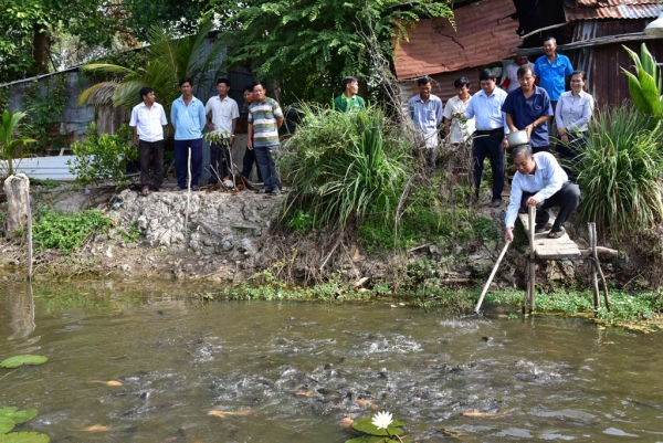 Tân Hưng: Tổng kết mô hình nuôi cá đồng trên ruộng lúa