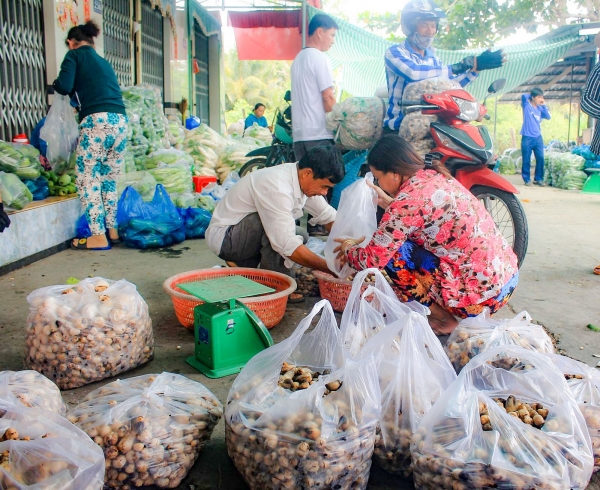 Sản xuất, tiêu dùng các sản phẩm nấm trồng ở địa phương