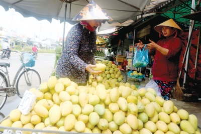 Trái cây đa dạng chủng loại, giá giảm