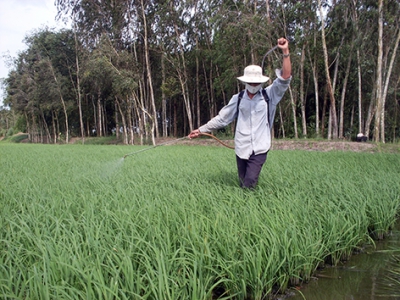 Chuyển đổi khoảng 4.000ha đất lúa kém hiệu quả sang cây trồng khác