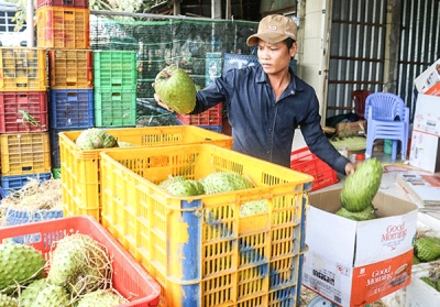 Nâng cao sức cạnh tranh cho nông sản Việt