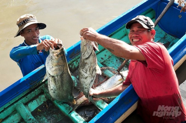 Xã đảo Tân Ân vượt khó