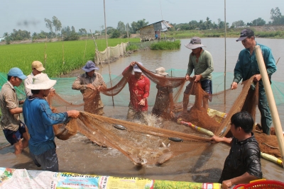 Nỗ lực tái tạo nguồn lợi thủy sản