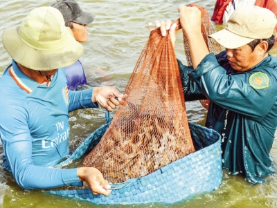 Cơ hội xuất khẩu thủy sản từ sản xuất sạch