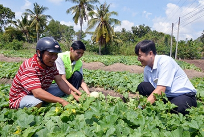 Canh tác nông nghiệp thích ứng với biến đổi khí hậu