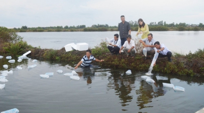 “Cánh đồng chó ngáp” chuyển mình