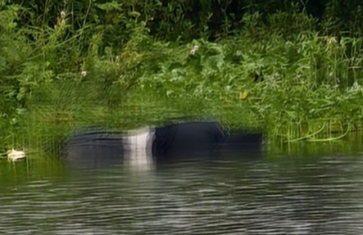 Hai thiếu nữ 16 tuổi cùng phòng trọ tử vong với lời nhắn gửi chủ nhà trọ