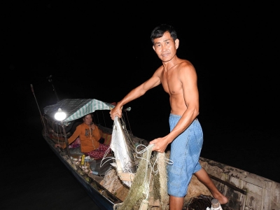 Trắng đêm “săn” cá bông lau