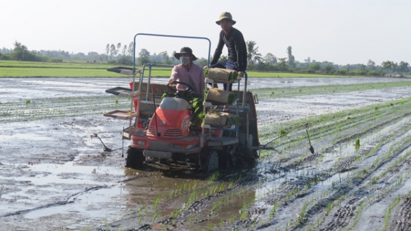 Nông dân từng bước hướng đến sản xuất theo chuỗi