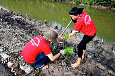 Mùa hè xanh thật đẹp