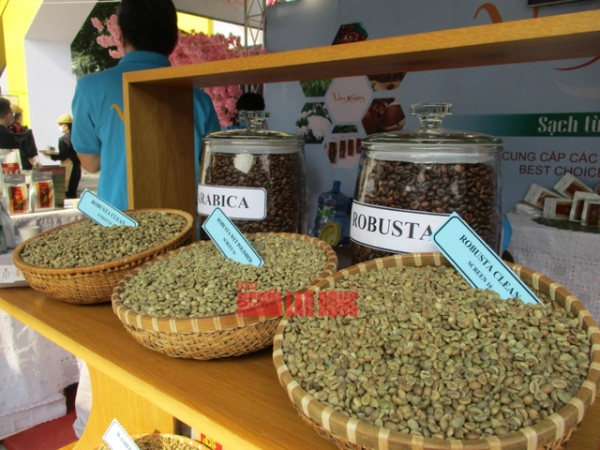 Gi&aacute; c&agrave; ph&ecirc; trong nước vẫn đang thiết lập kỷ lục mới