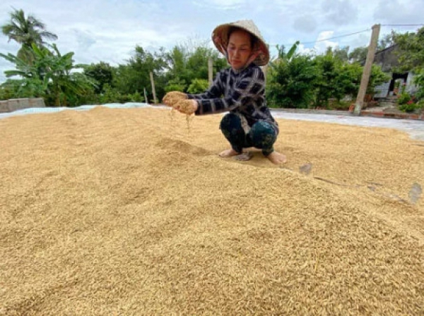 Lũ chưa về đã phải lo hạn, mặn