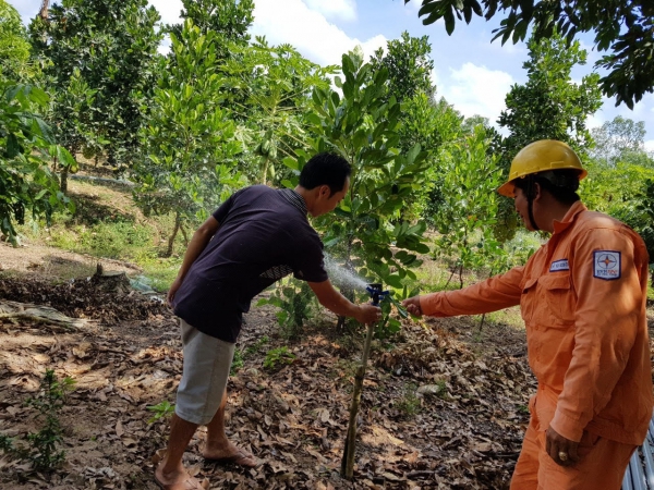 PC Trà Vinh: Hiện thực hóa ước mơ &#039;&#039;đưa điện ra đảo&#039;&#039;