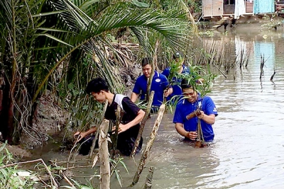 Góp sức ứng phó với biến đổi khí hậu