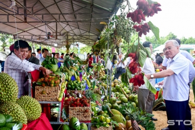 Khảo sát và tham dự Ngày hội Du lịch sông nước miệt vườn