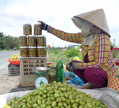 Hương vị trái cà na mùa nước nổi