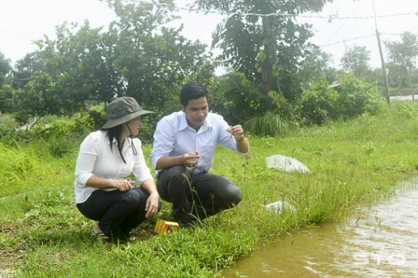 Giải pháp phòng trị bệnh phân trắng trên tôm