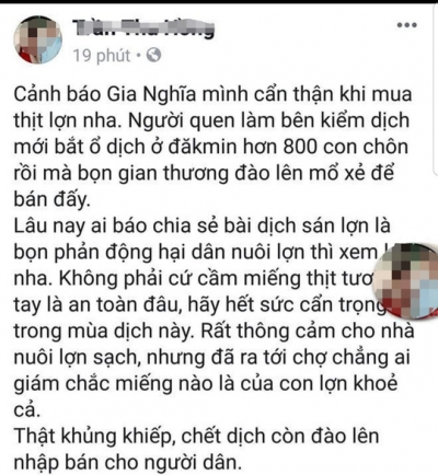 Bị phạt 10 triệu đồng vì bịa đặt thông tin đào 800 con heo bệnh lên bán