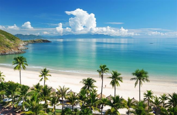 Tái tạo san hô ở vịnh Nha Trang để phát triển du lịch