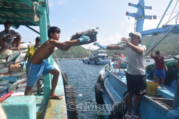 Trắng đêm cùng ngư dân bám biển