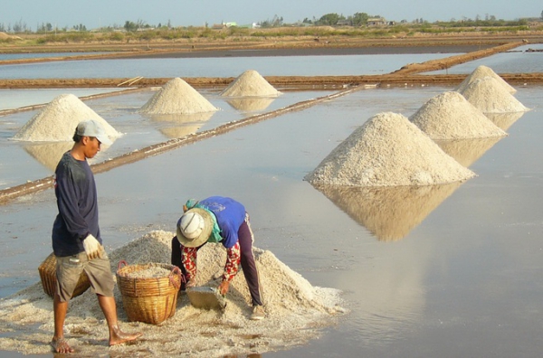 Cuộc thi “Tự hào hàng Việt” : Tự hào muối hồng Bạc Liêu