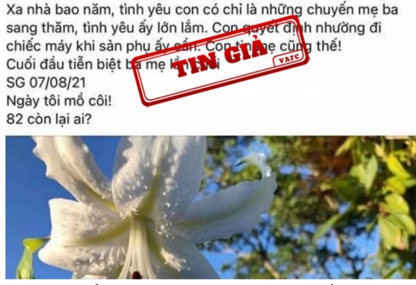 Trung tâm xử lý tin giả lên tiếng về câu chuyện &quot;bác sĩ nhường máy thở của mẹ&quot;