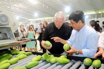 Nông sản “bắt” tín hiệu từ thị trường xuất khẩu