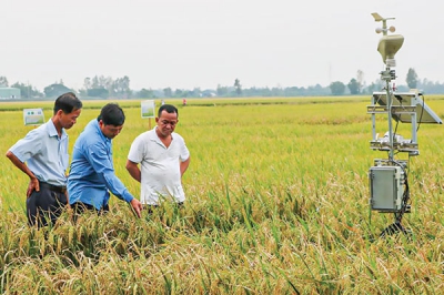 Liên kết, phát triển nông nghiệp công nghệ cao