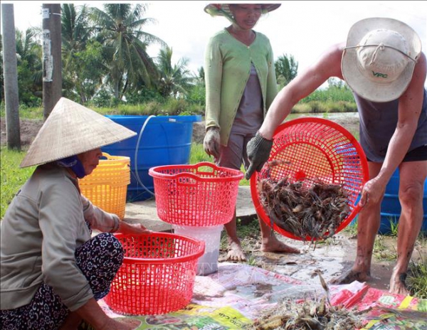 Khó khăn trong việc bảo hộ thương hiệu đã được công nhận