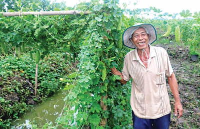 Giá nhiều loại rau ăn lá và rau quả tăng