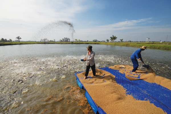 Chờ tín hiệu vui từ thị trường