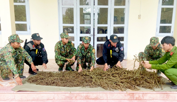 An Giang: Chống ma túy - cuộc chiến cam go